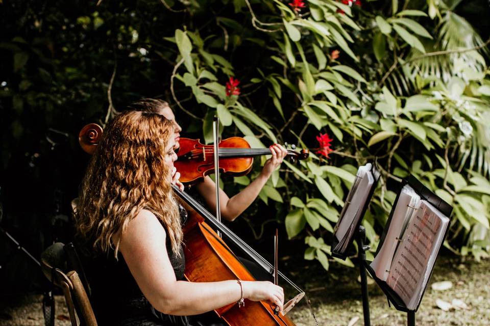 CELLO & VIOLIN