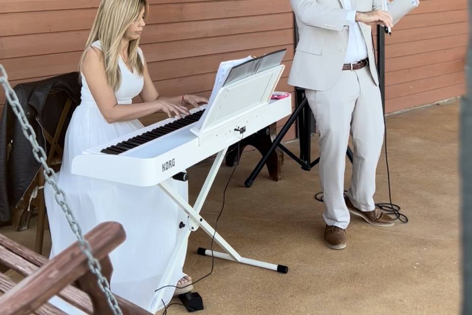 White Violin & Piano