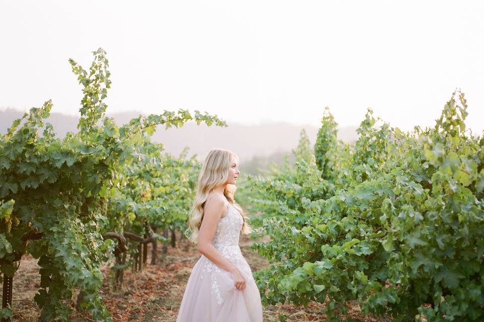 Napa Valley Bride