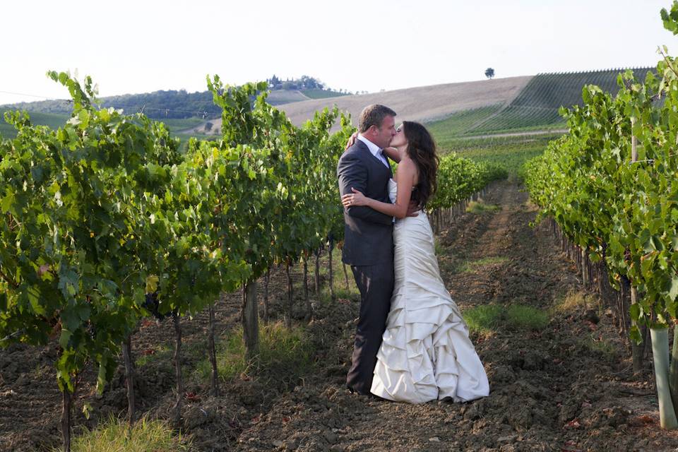 Kissing in the vineyard