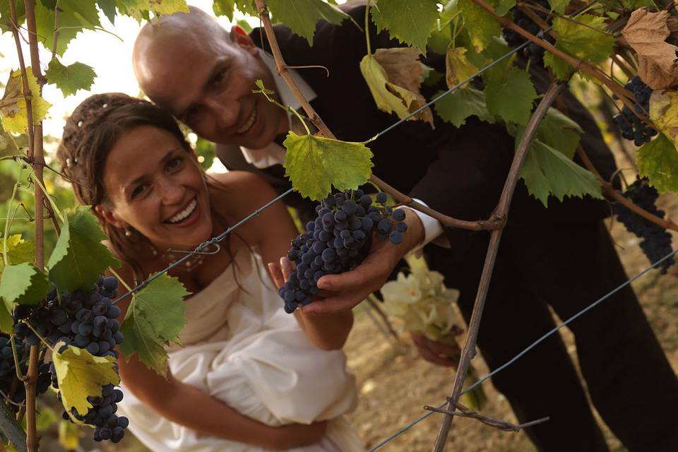 Tuscan Tours and Weddings