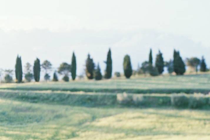 Tuscan Tours and Weddings