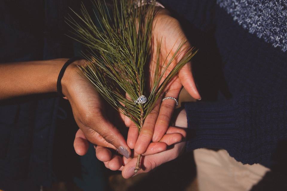 Evergreens and rings