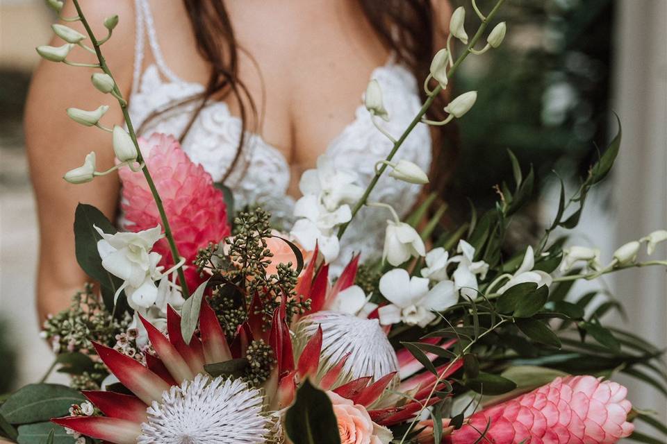 Tropical ginger & king protea