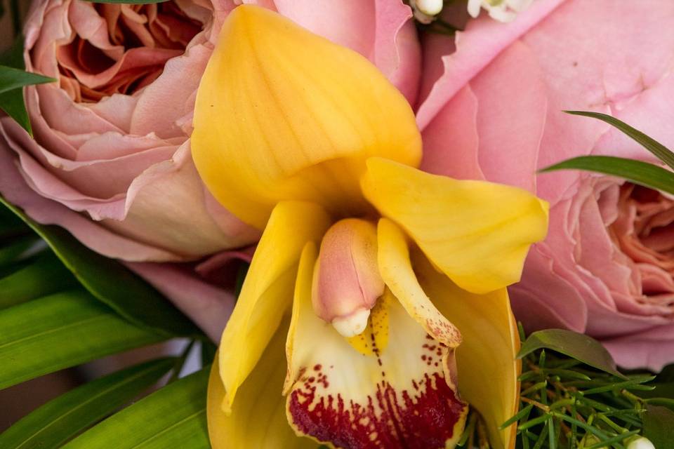 Close up bouquet