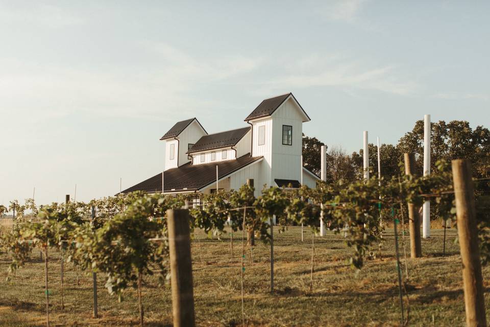 Chapel + Vineyard View