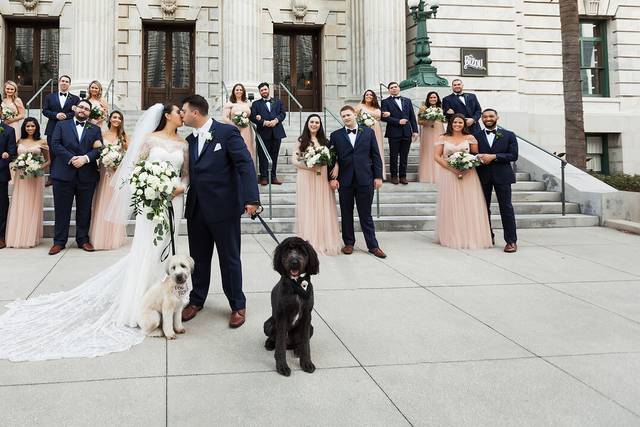 Wedding Bliss Pet Care