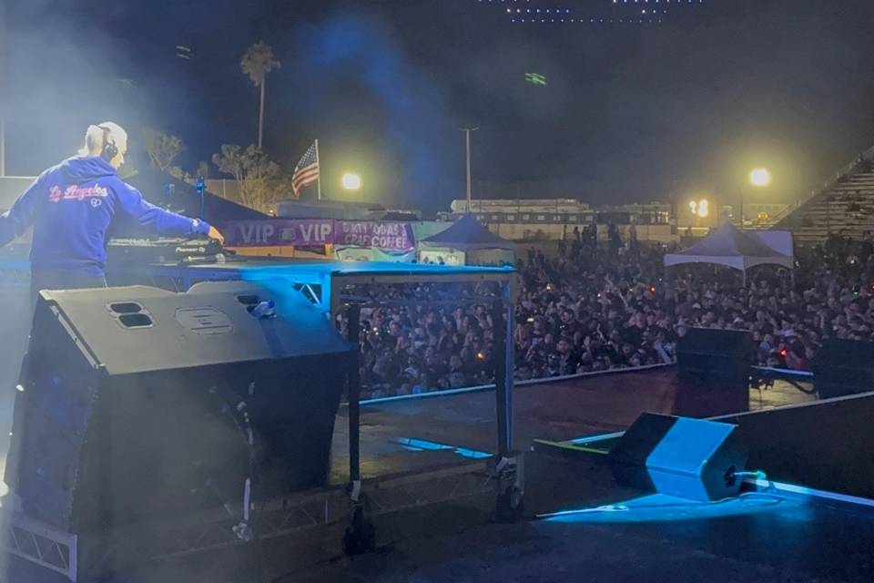 Electric Sky Drone Shows  (2)