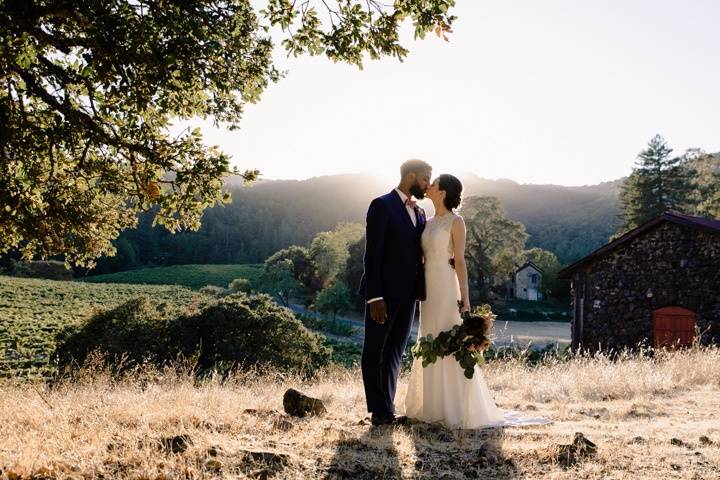 Sonoma vineyard wedding