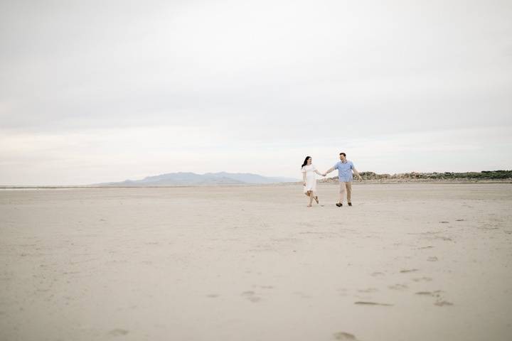 Antelope island engagements