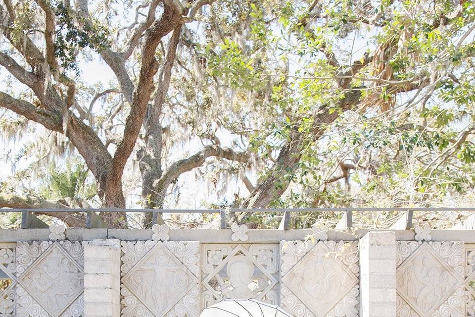 Bride Photo