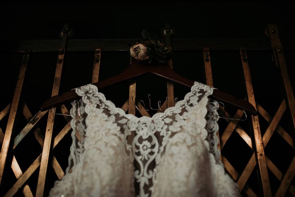 Wild Pearl Photography