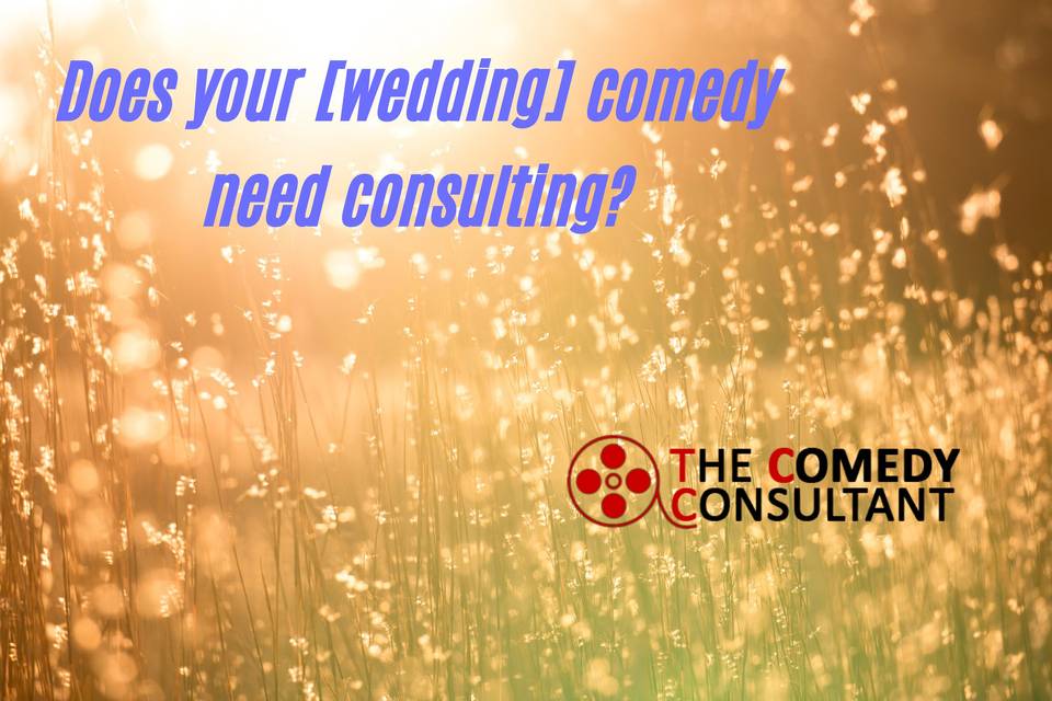 Comedy Writers & Consultants