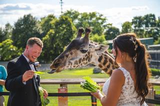 The Toledo Zoo