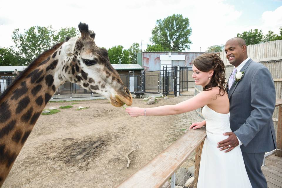 The Toledo Zoo