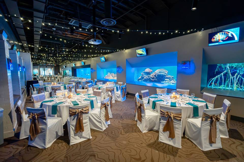 Aquarium