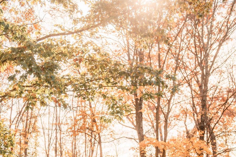 Fall wedding
