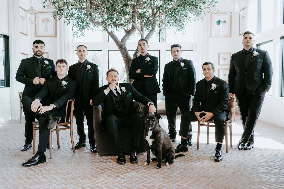 Groomsmen in Tree Room