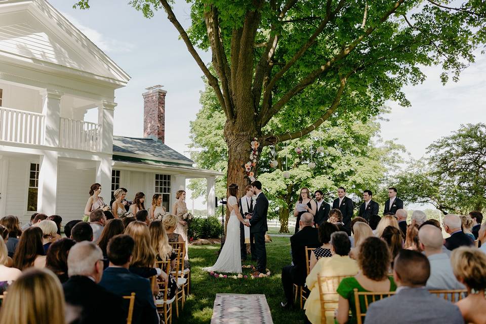 Wedding tree ceremony