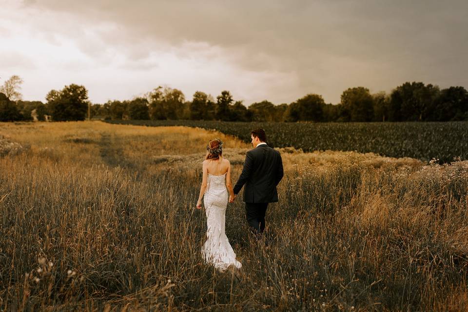 Walking through the willows