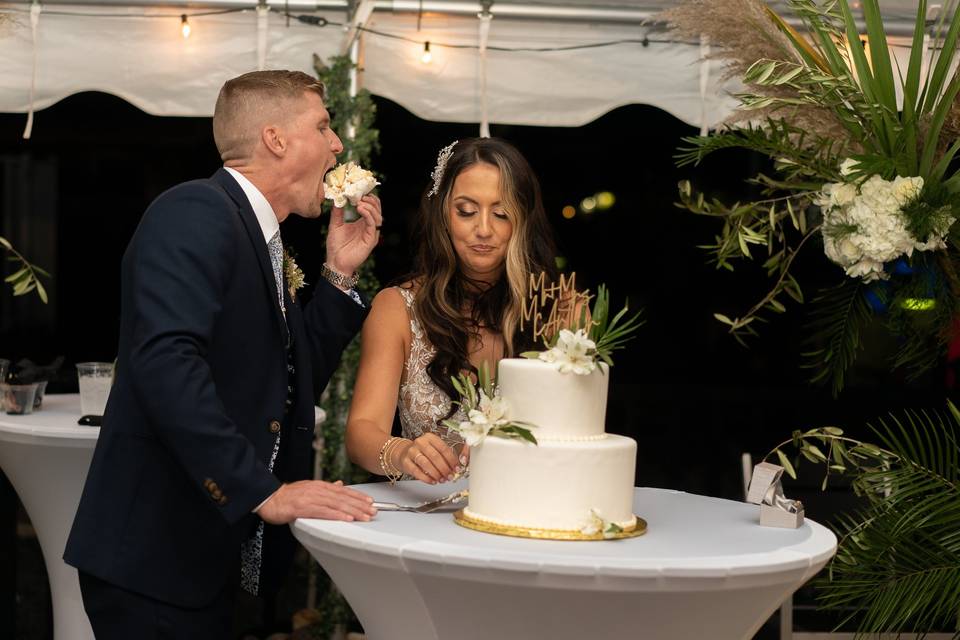 Cake Cutting