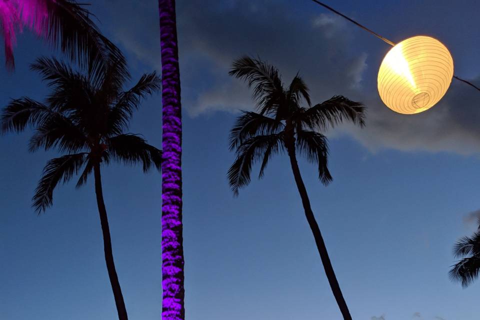 Water Lighting at Hyatt Maui