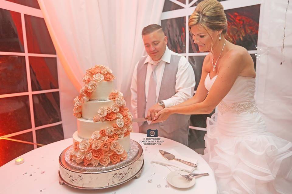 Cutting their wedding cake