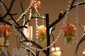 Gift tree, draped with jewels, roses and candles.