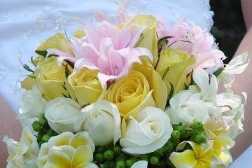 Plumeria and roses. There is nothing sweeter nor more beautiful.