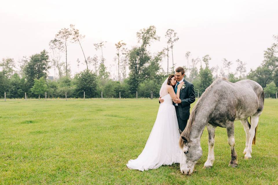 Rosie Farms wedding, Panama City