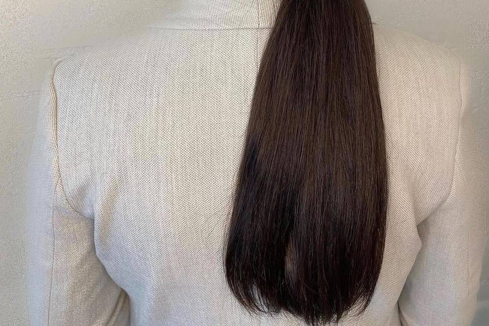Elegant ponytail