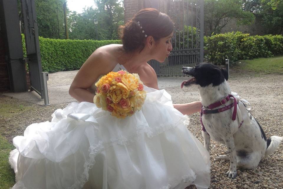 Dog & bride