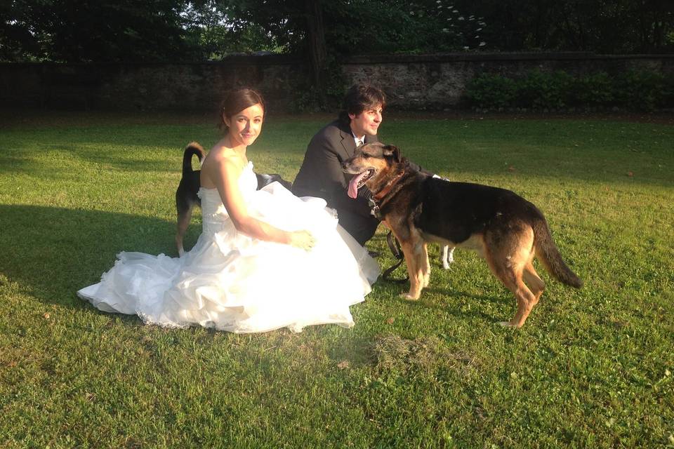 Dog & bride & groom