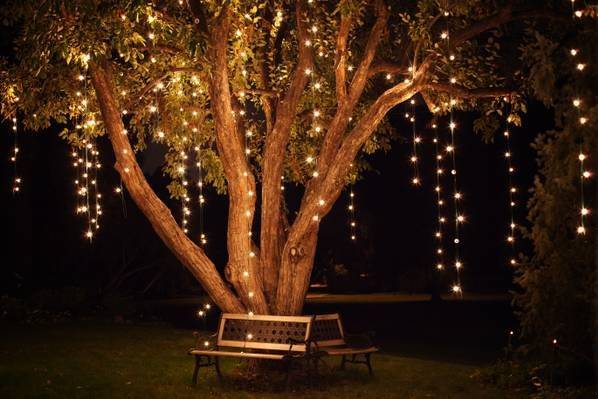 25 Stunning Fairy Lights Wedding Reception Ideas - WedBoard