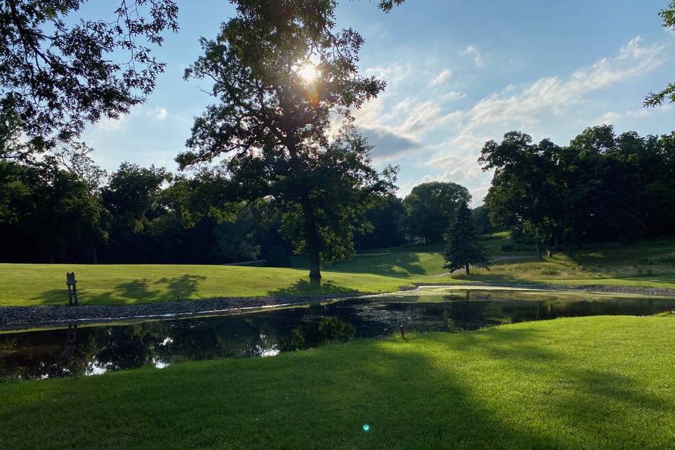 Golf Course Scenery