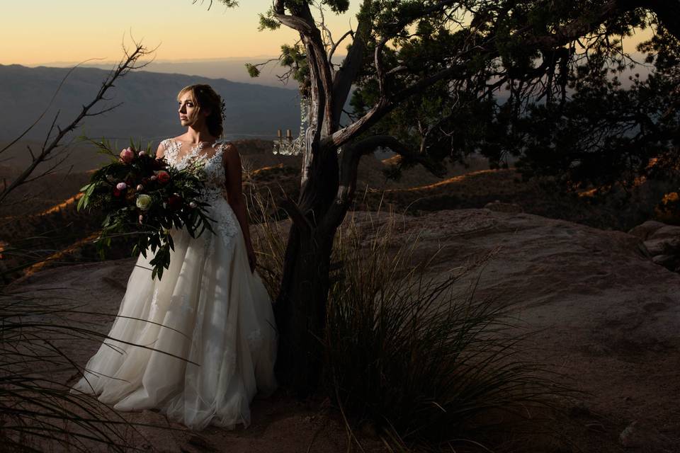 The Bridal Portrait