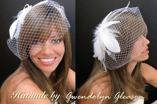 Bircage veil