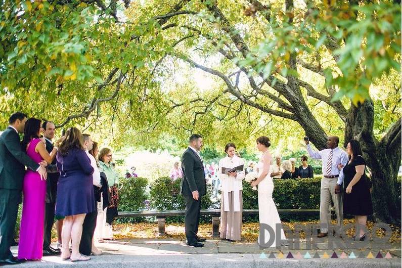 Rev. Carolyn DeVito, NYC Wedding Officiant