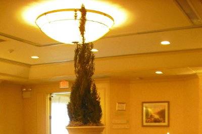 Mount Kisco Events at the Holiday Inn