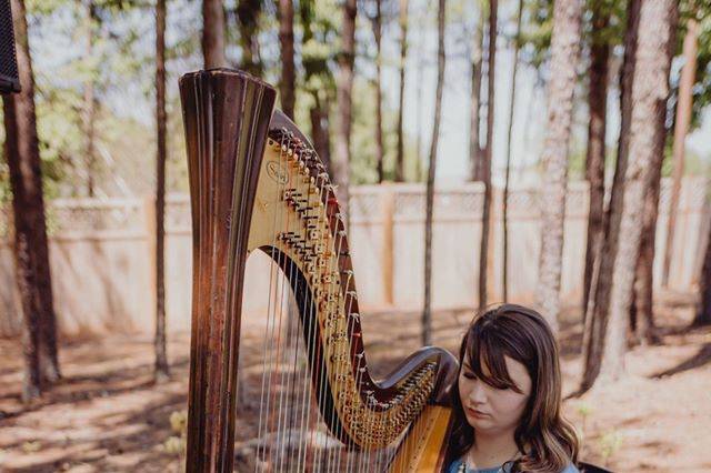 A harp and woodlands