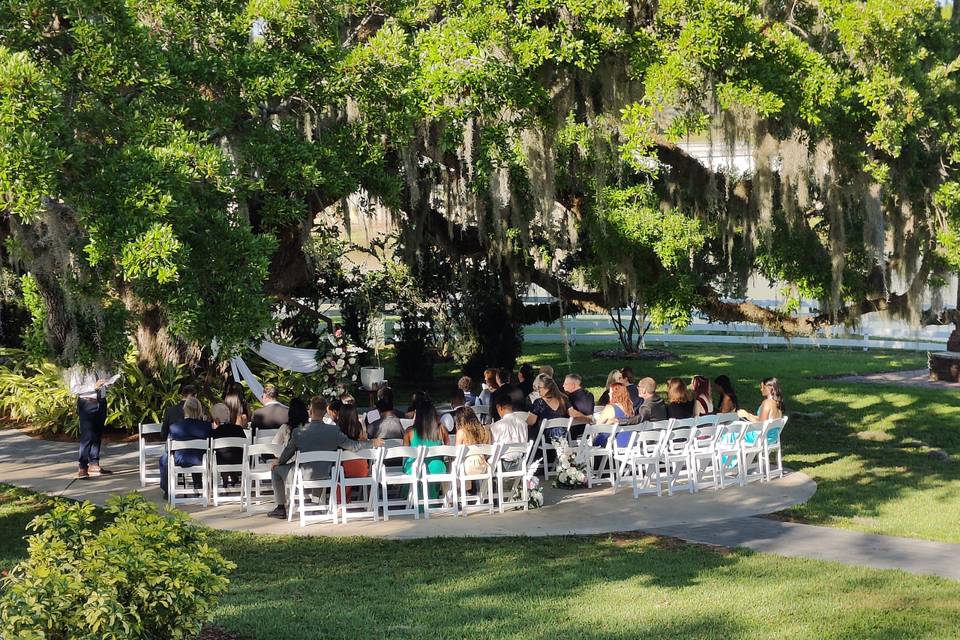 Beautiful venue