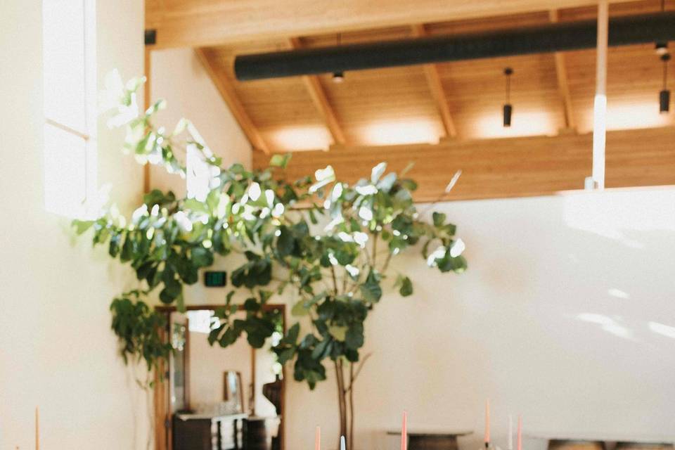 Tree in Ballroom