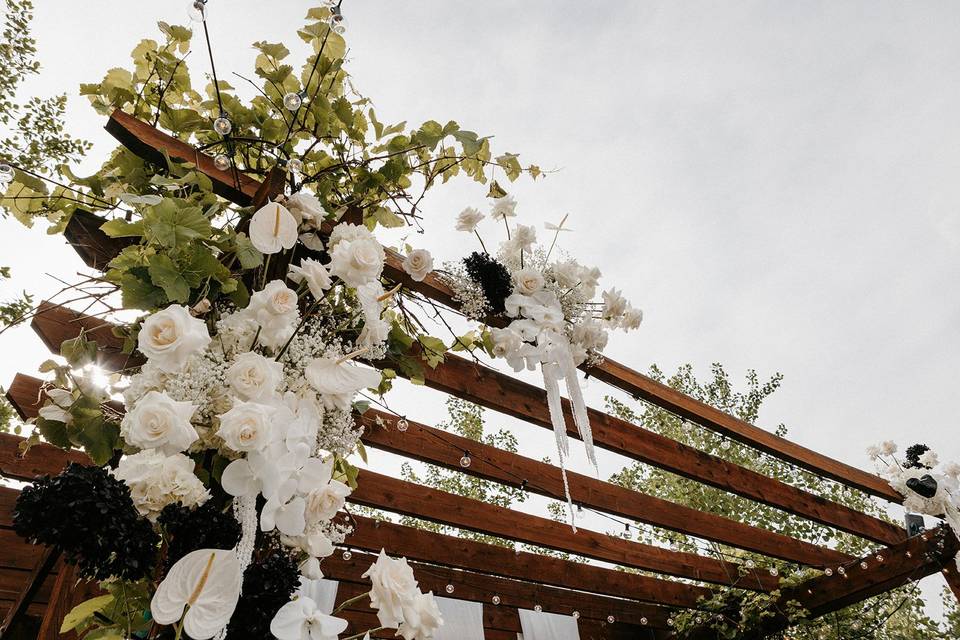 Pergola View