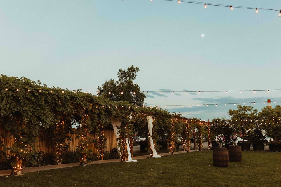Vine Walkway