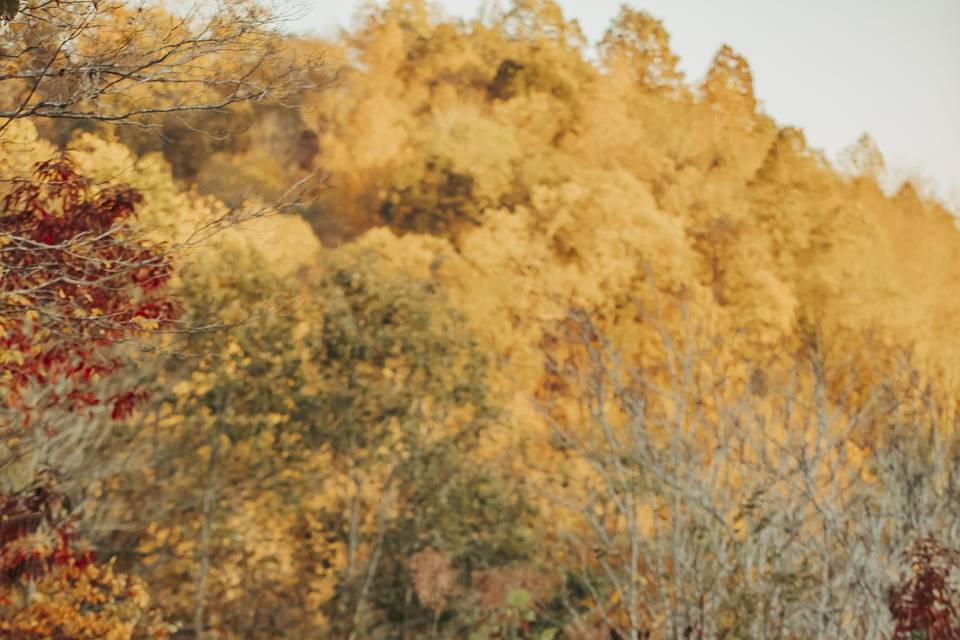 Cliffside Elopement