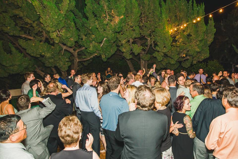 Wedding crowd