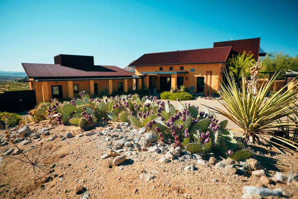 Reception Courtyard in Autumn