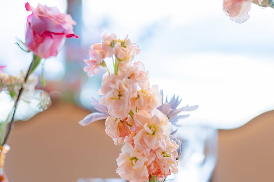 Reception details