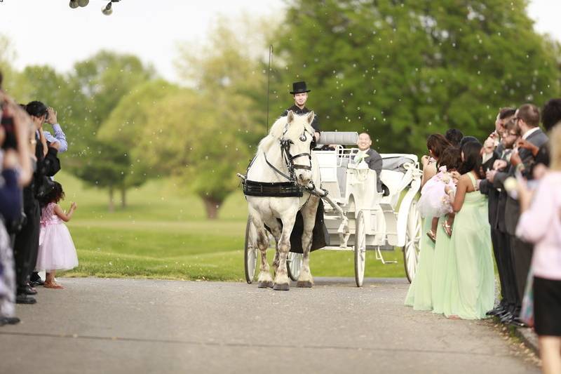 Wedding Officiant Indianapolis