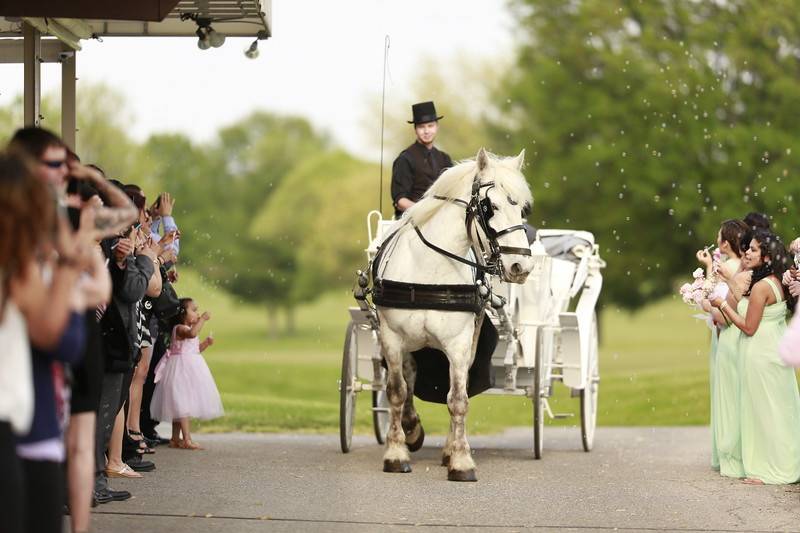 Wedding Officiant Indianapolis